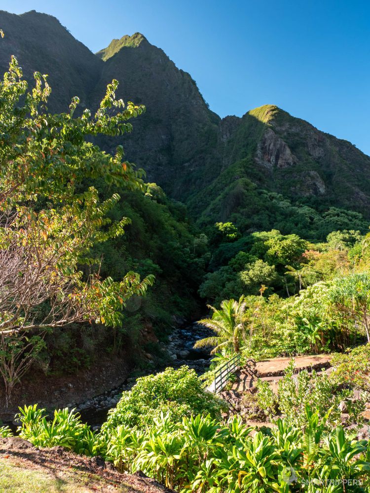 Vue de la 'Iao Valley au petit matin depuis le parking.