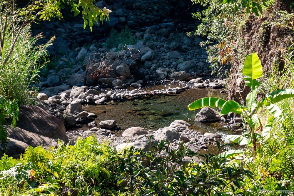 Une petite piscine naturelle.