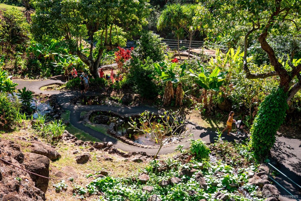 Vue sur le petit jardin botanique à découvrir près de la 'Iao River..