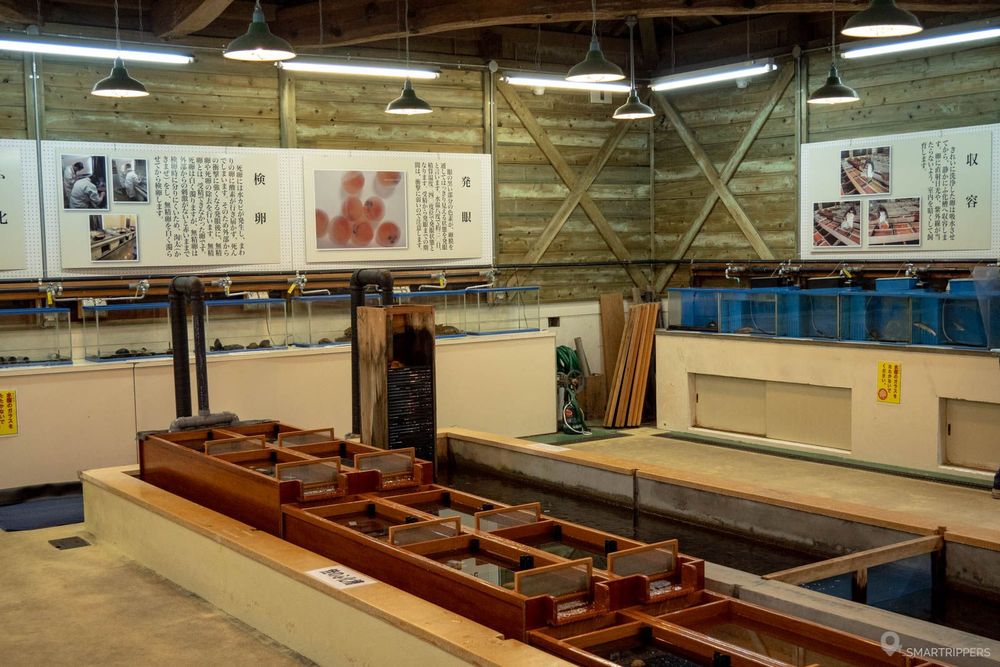 L'une des salles d'exposition.