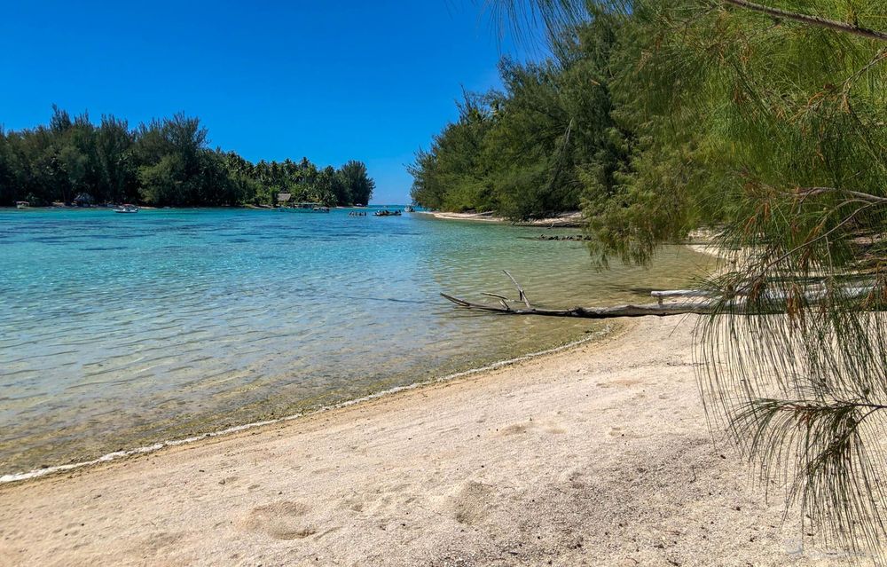 Vue du jardin de corail depuis le motu Fareone.