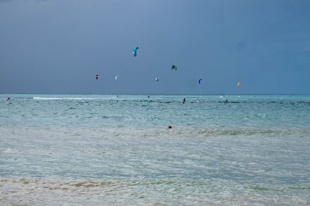 Kitesurfeurs à Kanaha Beach.