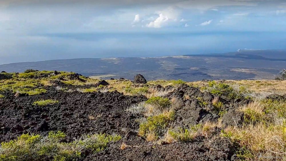 Le panorama depuis le bout l'avancée en bois du Kealakomo Lookout.