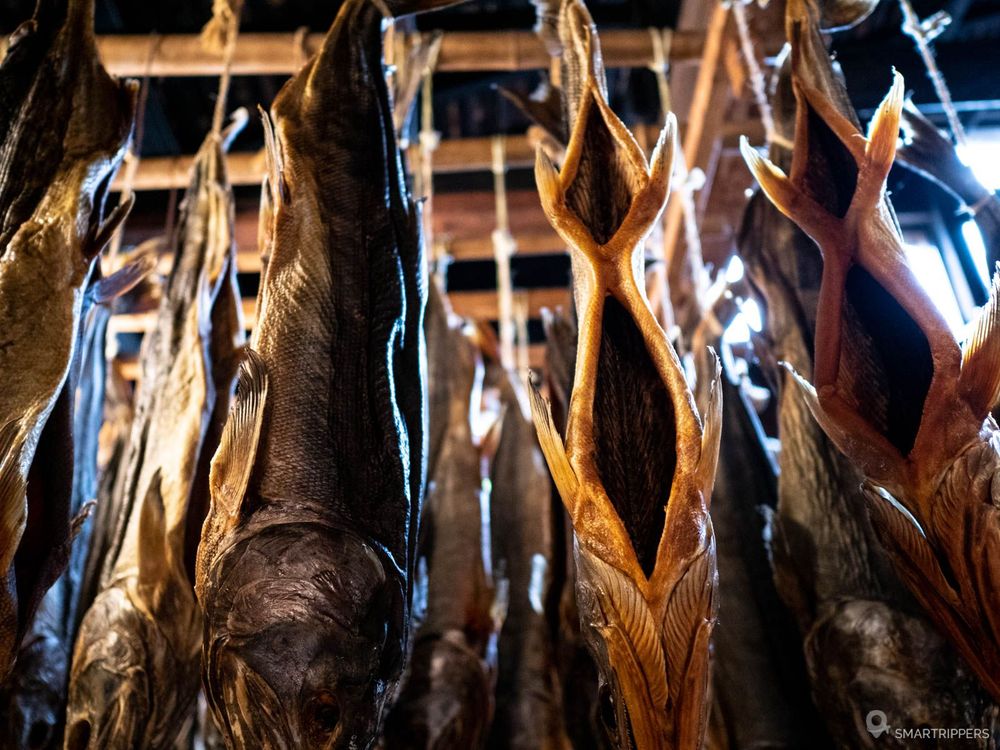 Les deux entailles pratiquées pour le séchage du saumon.