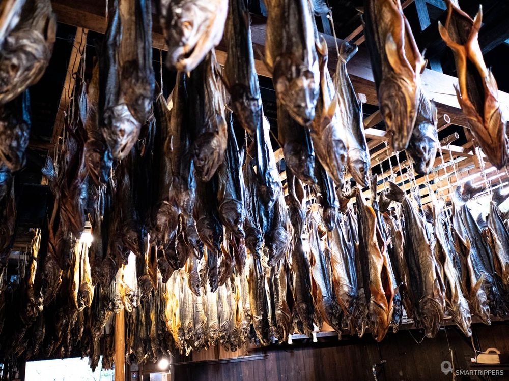 Dizaines de saumons séchés pendus au plafond à Kikkawa.