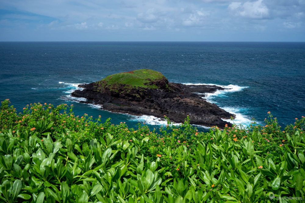 L'île Moku'ae'ae où nichent beaucoup d'oiseaux.