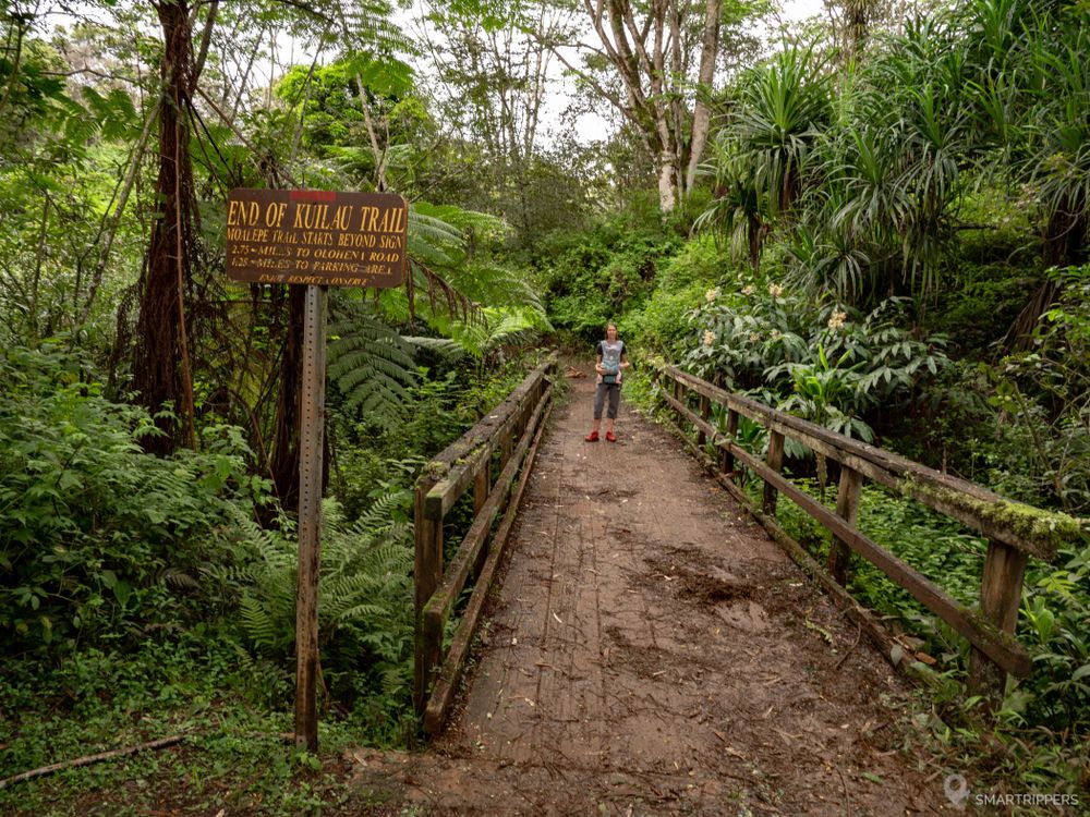 Le petit pont de bois marquant la fin du trail.