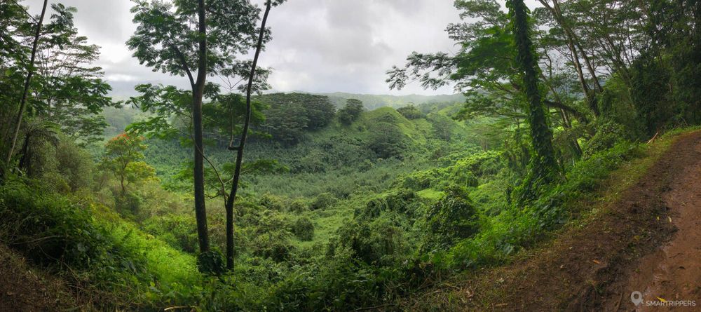 Vue sur le coeur de Kauai au début du trail