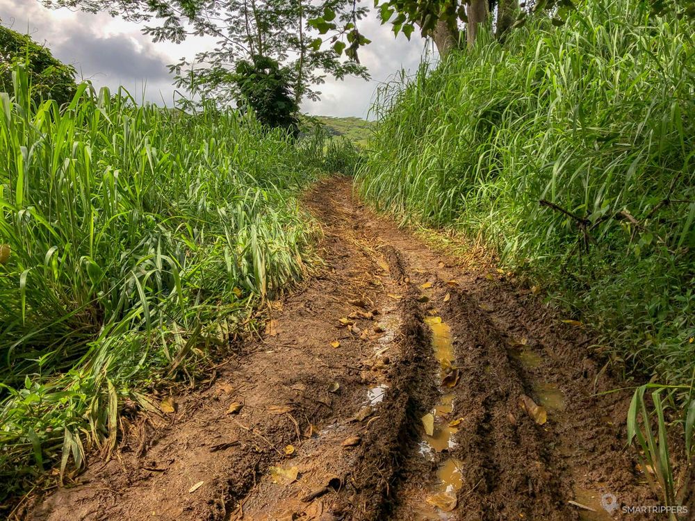 La boue est très présente au début du sentier.