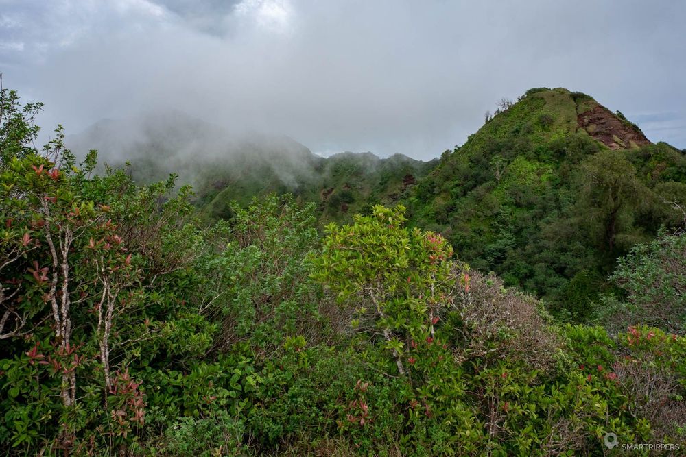 Le brouillard arrive déjà vers 9h00.