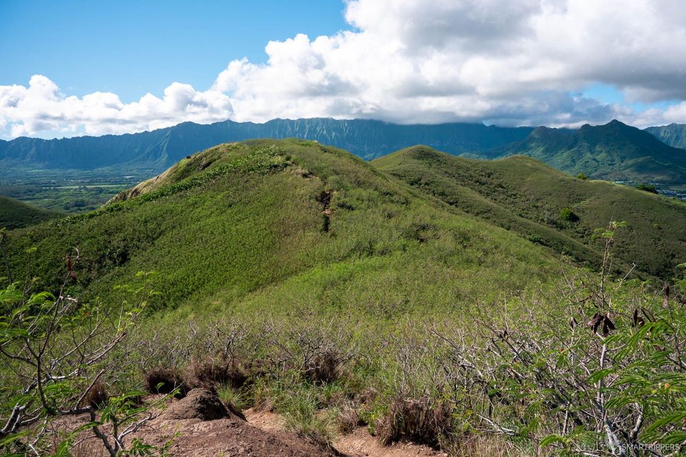 Sur la Kaiwa Ridge en regardant vers le Ko'olau Range.