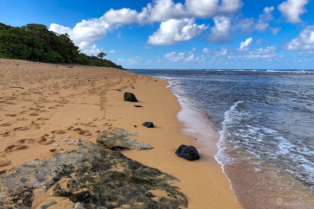 Balade sur la longue plage de Larson's beach.