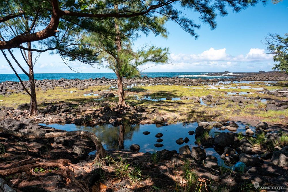 Le littoral au Lehia Beach Park.