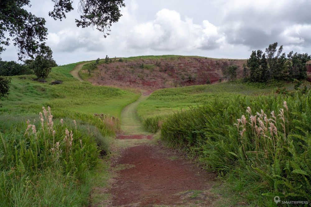 Au début du petit trail verdoyant.