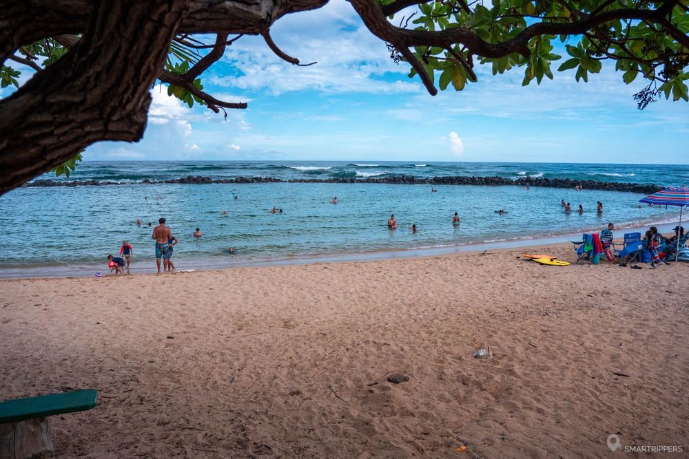 La zone de baignade protégée.