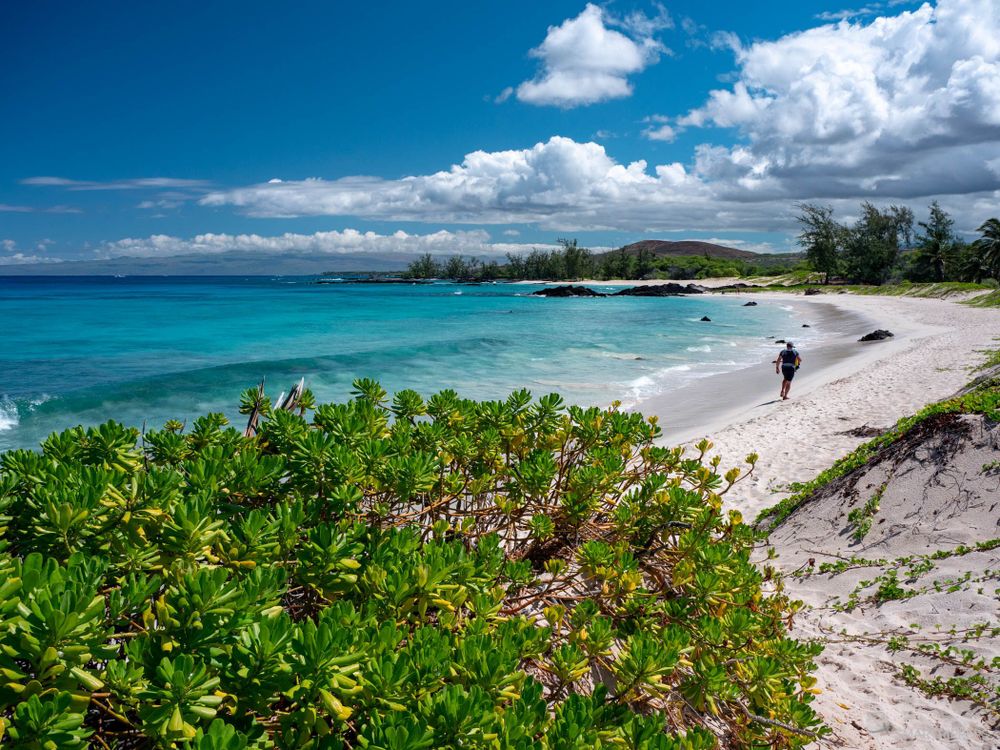 La superbe plage de Makalawena Beach