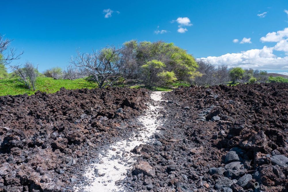 A la fin du champ de lave, le sentier débouche sur des arbres et du sable.