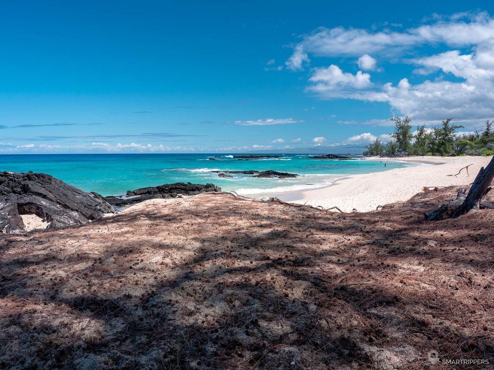 Zone d'ombre vers le milieu de la plage pratique pour poser sa serviette.