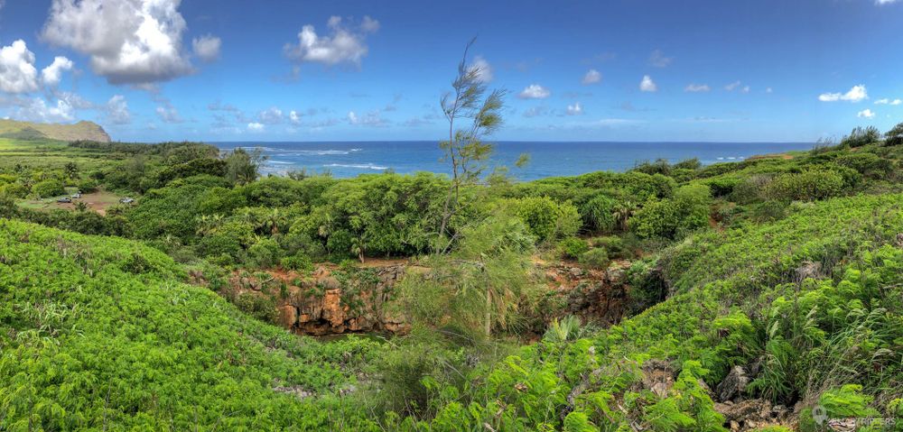 Panorama sur les environs depuis la Makauwahi Cave