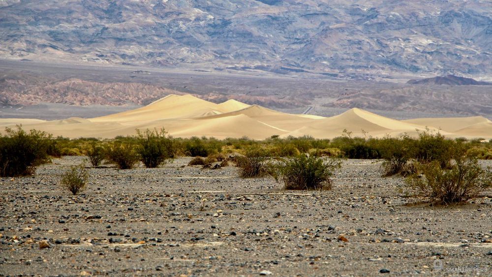 Les dunes au loin