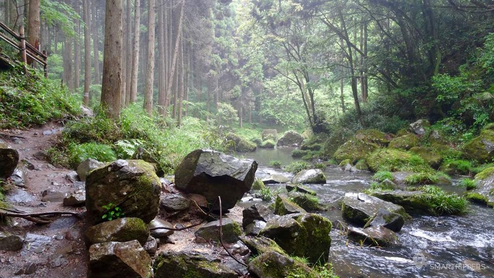 Sentier d'approche