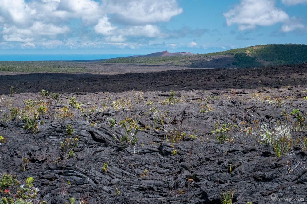 Le Pu'u O'o apparait au bout du champ de lave.