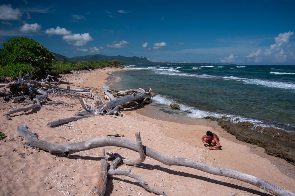 La plage de Nukoli'i avec ses morceaux de bois flotté près du parking.