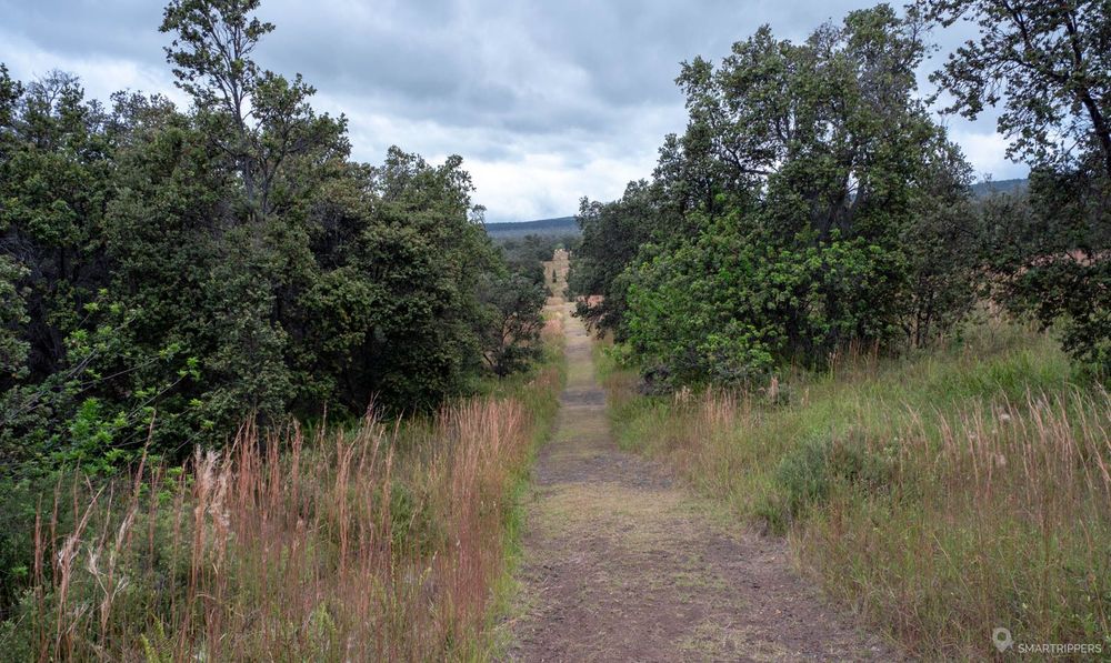 Sur le Palm trail... monotone et long