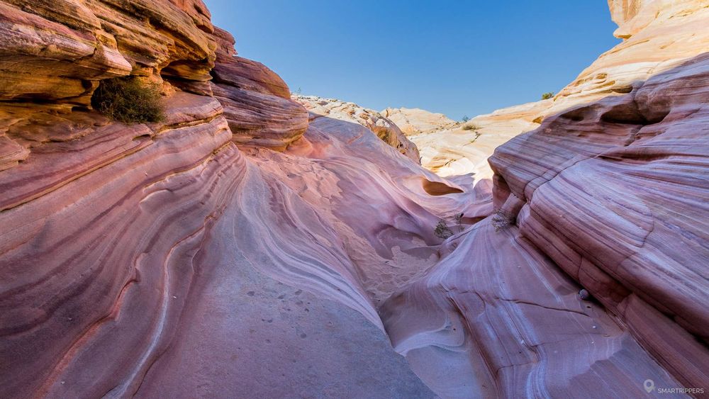Sublimes couleurs roses à Pastel Canyon.