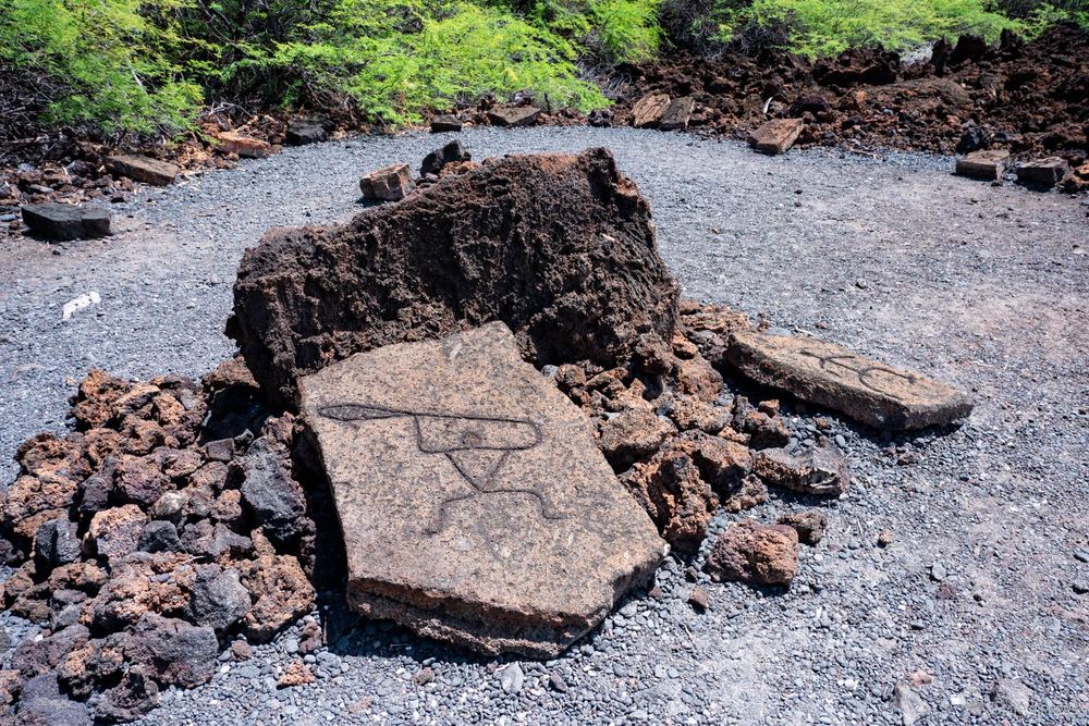 Un très beau Petroglyph vers le début du sentier.