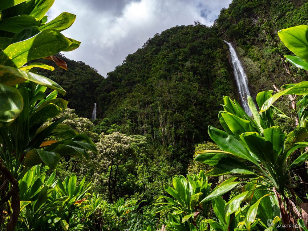 Les très belles Waimoku falls au bout du trail.
