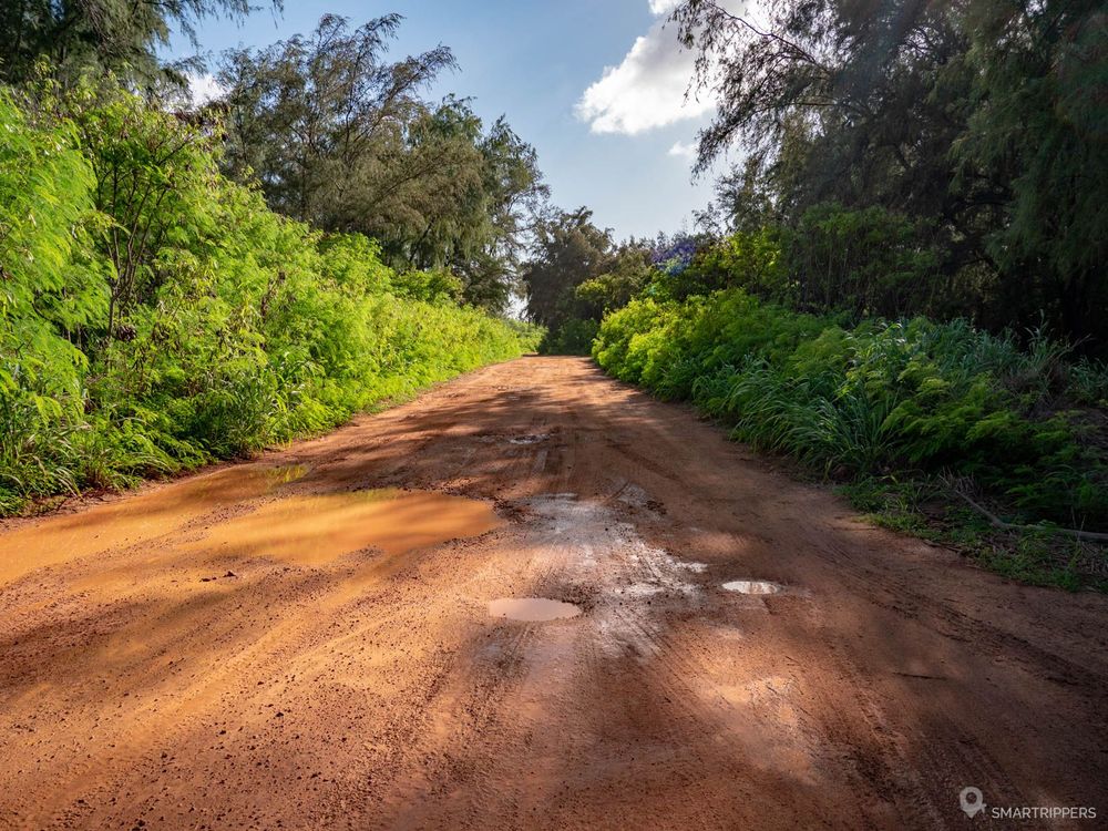 La piste pour atteindre Kawailoa Bay depuis le parking de Gillin's beach.