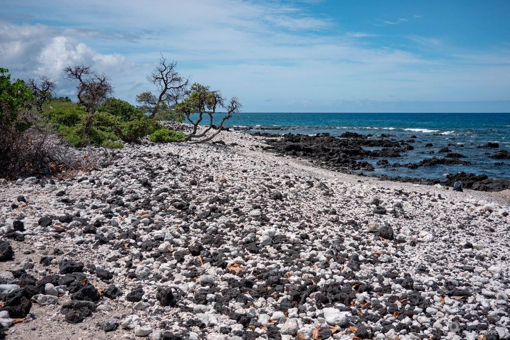 La plage au Holoholokai Beach Park.