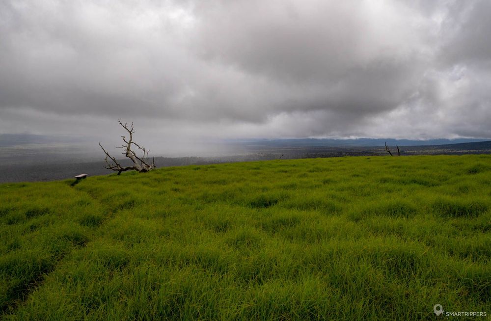 Pluie qui s'abat sur Big Island.