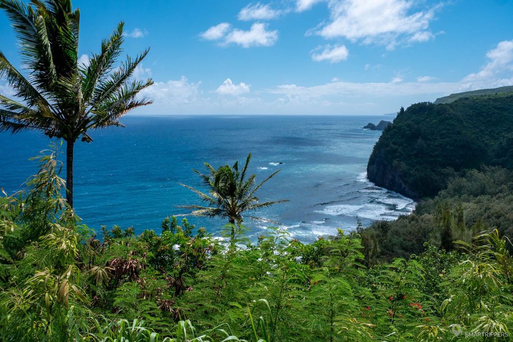 Panorama depuis le Lookout