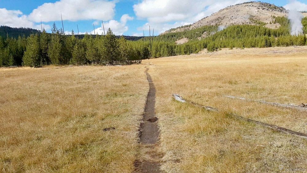 Le sentier traverse la grande prairie.