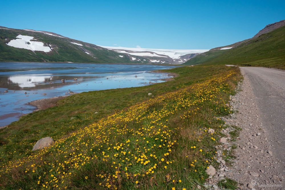 Le petit estuaire au bord du glacier, depuis la route.