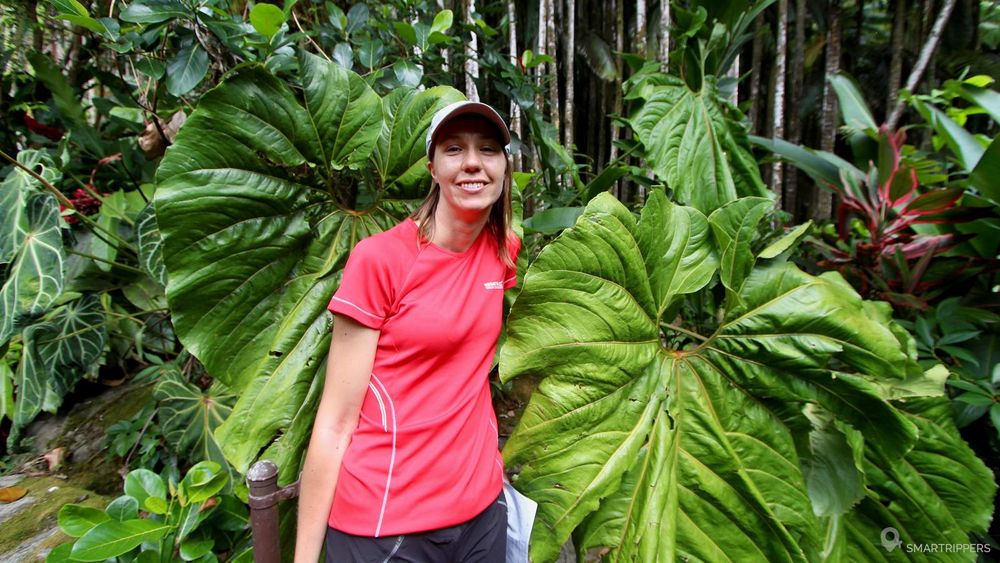 Sandrine devant une feuille immense! La végétation est très luxuriante près d'Hilo.