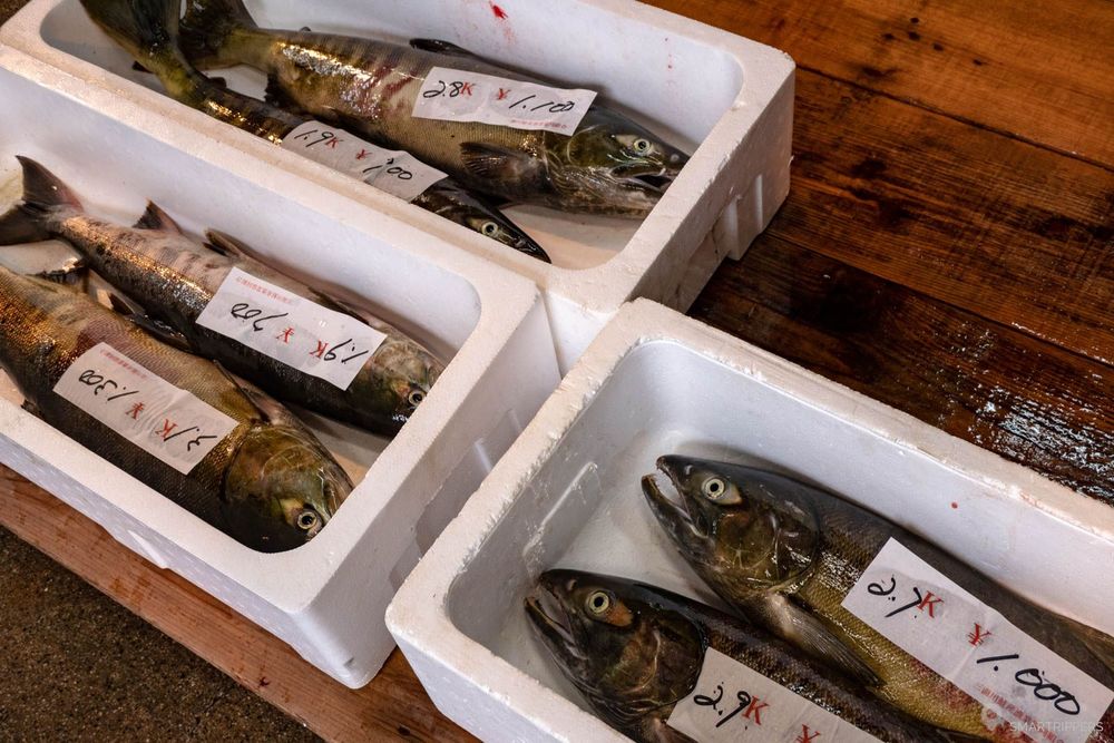 Les saumons sont ensuite mis à la vente.