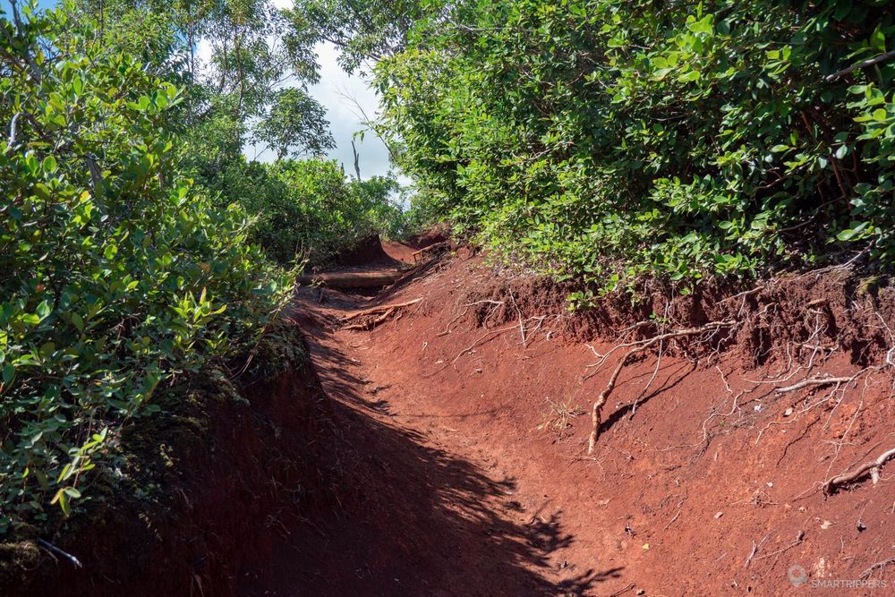 Le sentier agréable au début du parcours sur la ridge.