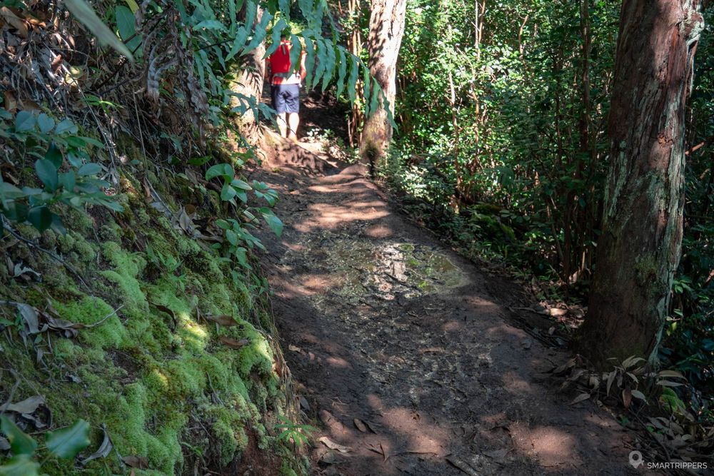 Le sentier boueux vers la fin du trail.