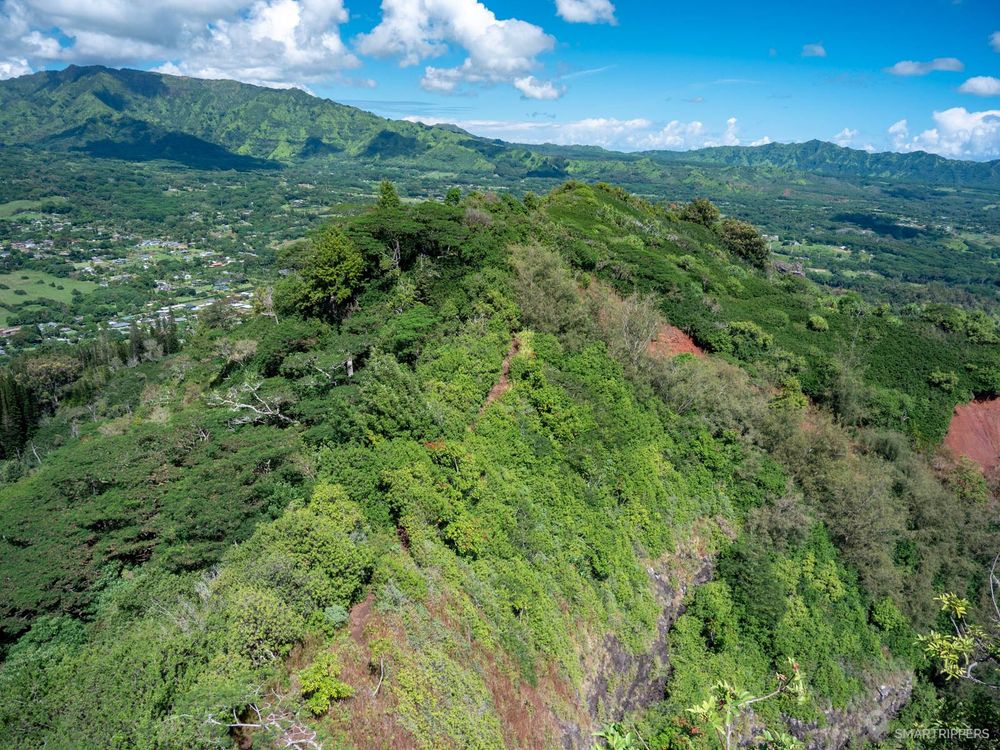 Vue sur le sentier au sommet de la ridge depuis le Chin Lookout.