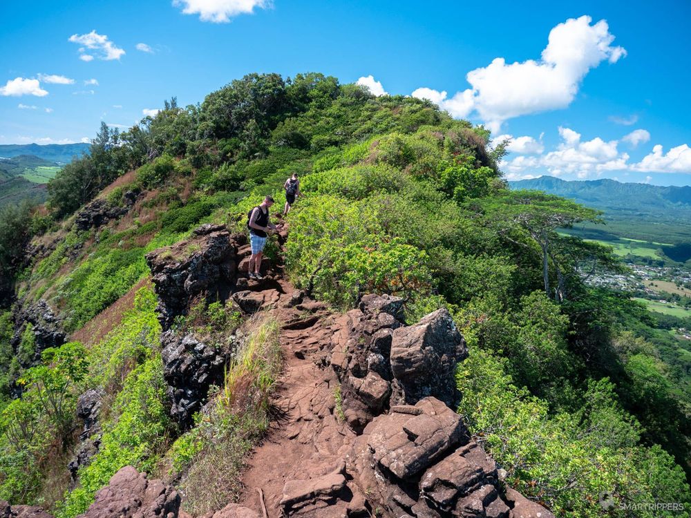 Sentier rejoignant le Nose Lookout depuis le Chin Lookout.