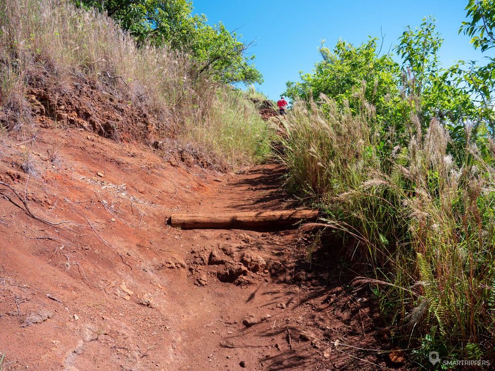 Le sentier lors de la première partie de l'ascension (avant le sommet de la ridge).