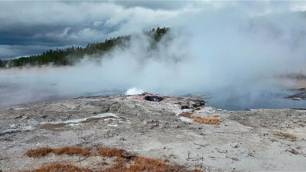 Le petit et incessant Steady Geyser.