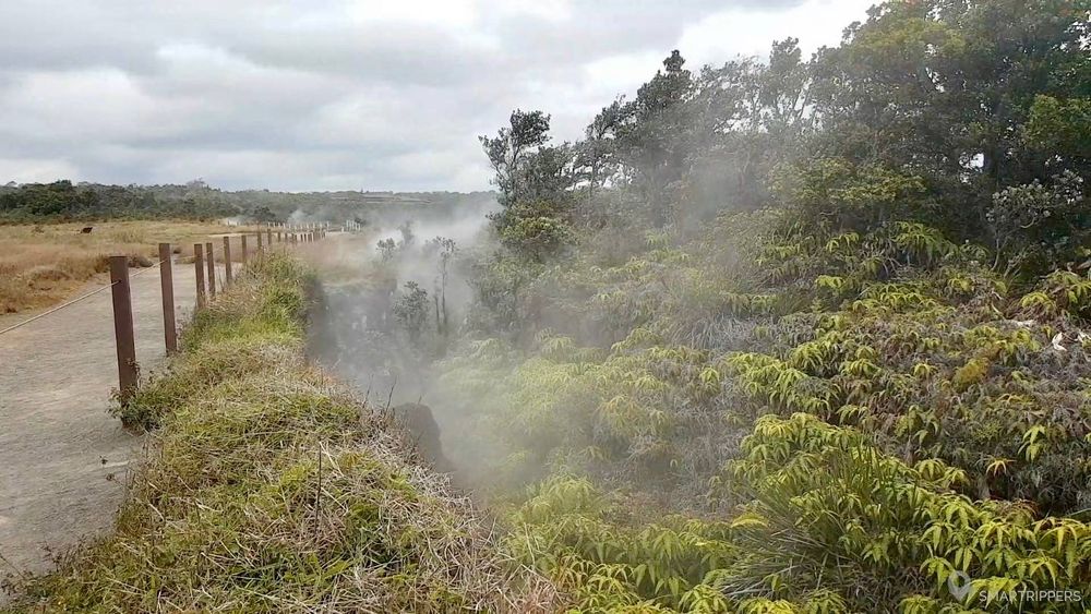 Ici la vapeur sort de terre, juste au bord de la caldeira du Kīlauea.