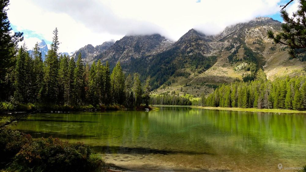 Au bord de String lake, à proximité du parking.