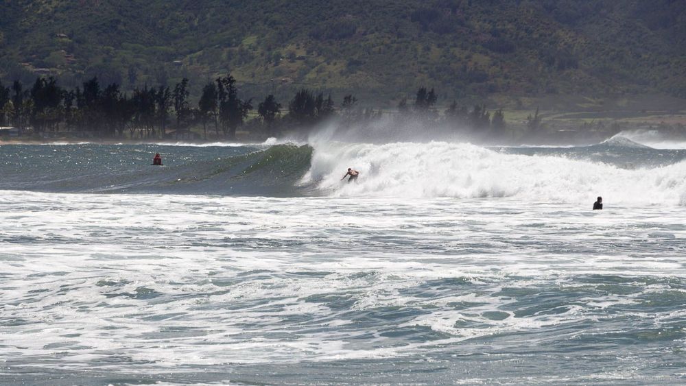 Surfeur dans les vagues d'Halei'wa.