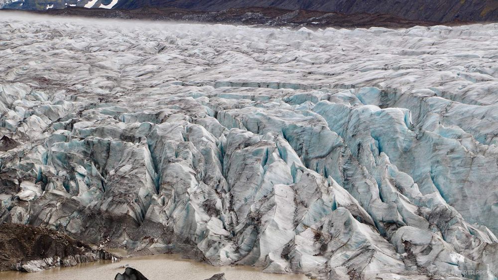 The cracks are numerous, shearing the ice.