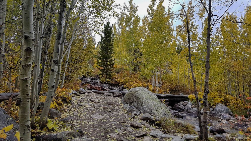 Sur le sentier en arrivant près du bord de la rivière.